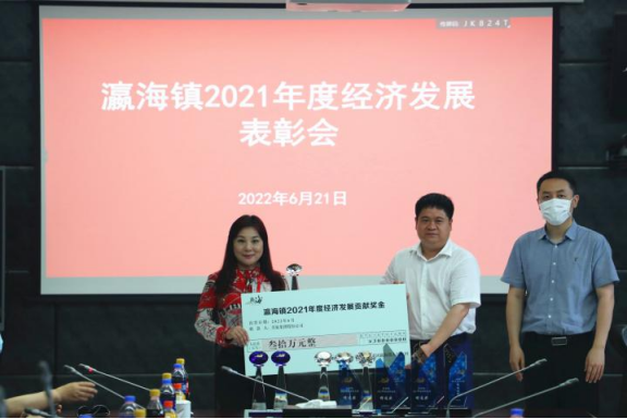 助力經濟發(fā)展，美巢集團股份公司獲瀛海鎮(zhèn)經濟發(fā)展三項大獎