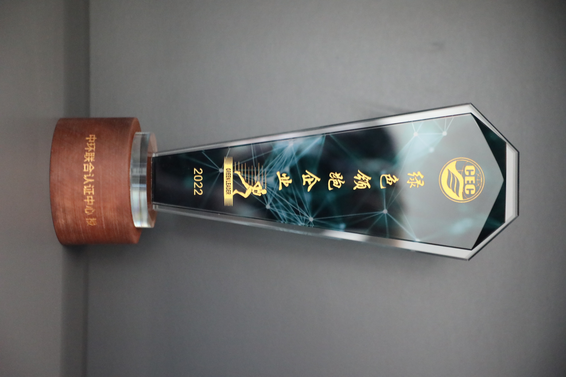 美巢深耕家裝環(huán)保輔料賽道，榮獲“綠色領(lǐng)跑企業(yè)”稱號(hào)