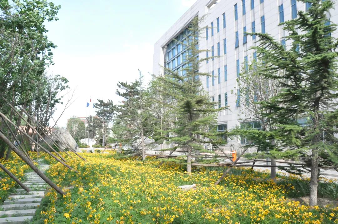 美巢先后獲“綠色信用五星級(jí)企業(yè)”“無(wú)廢之星”榮譽(yù)稱號(hào)